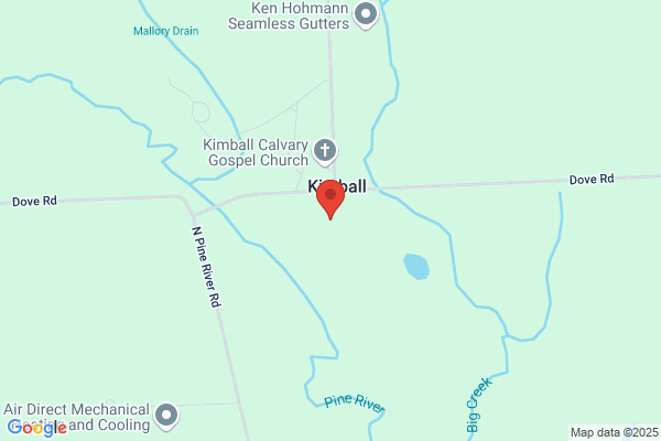 Dandelion Plumbing Service