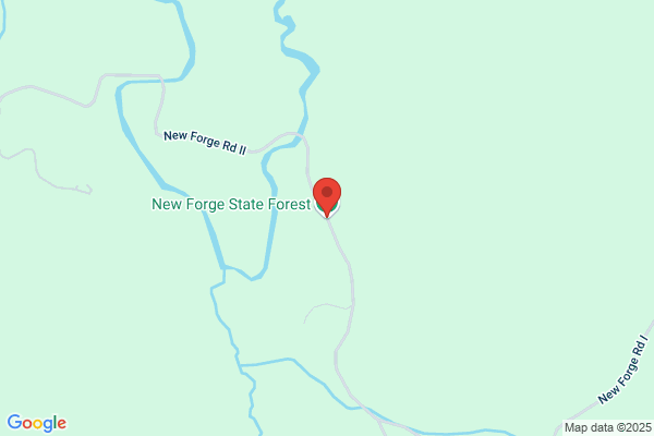 New Forge Farm