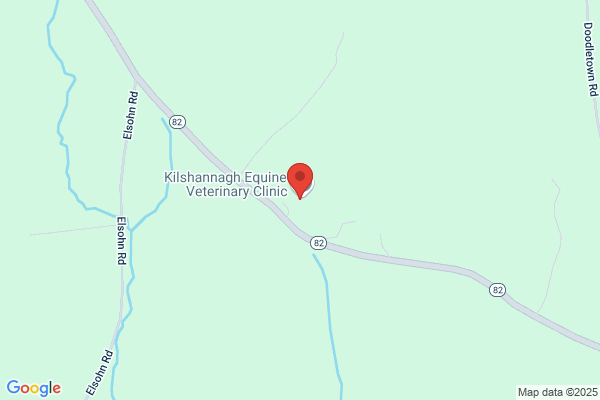 Henderson Mark E DVM