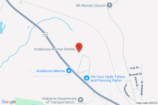Andalusia Animal Shelter