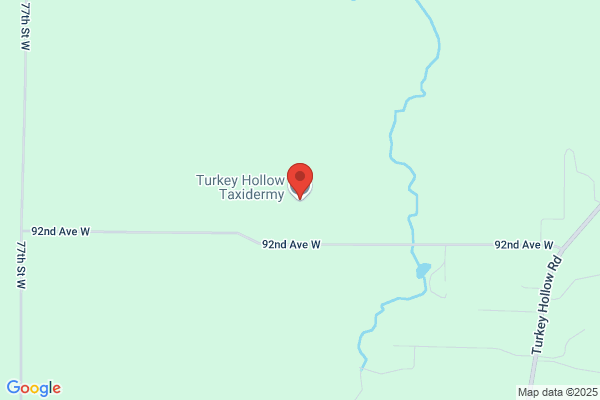 Turkey Hollow Taxidermy LLC