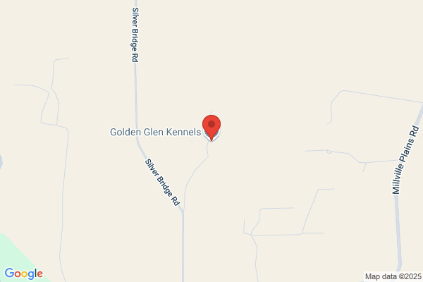 Golden Glen Retrievers Training Grounds