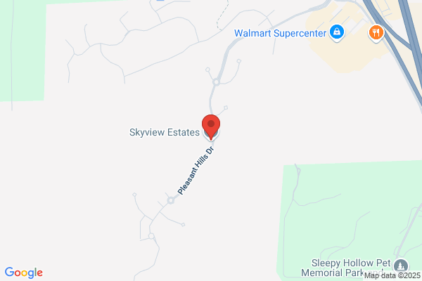 Lassen View Realty