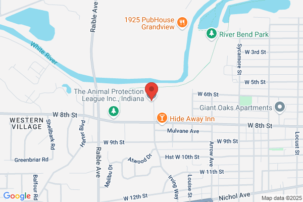 Anderson City Offices, Animal Shelter