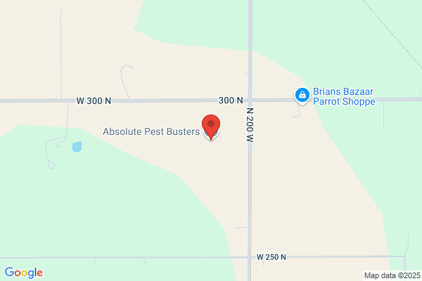 Absolute Pest Busters LLC