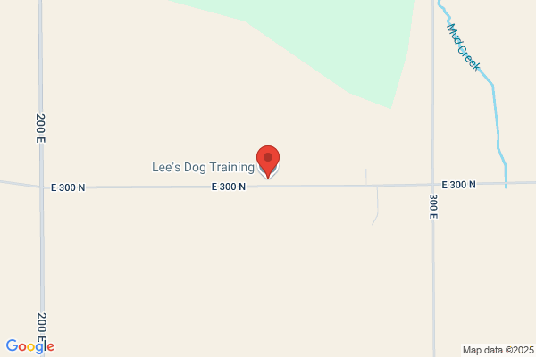 Lee's Dog Training