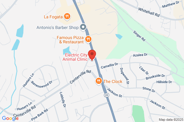 Electric City Animal Clinic
