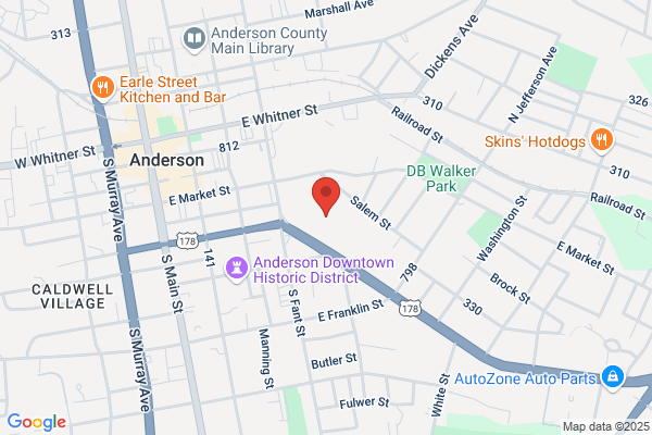 Anderson County of, Tax Department, Auditor