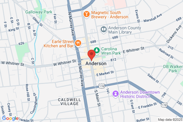 Anderson County of, County Council