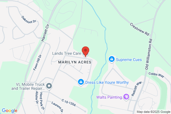 AAA Land's Tree Care Llc