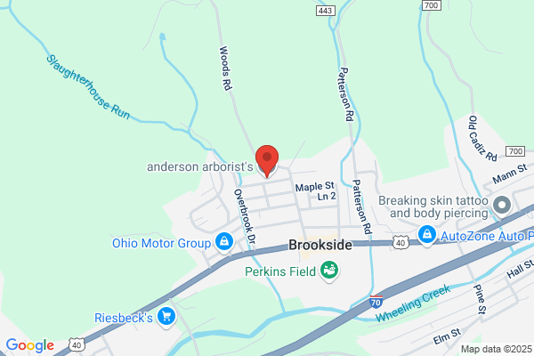 Anderson Arborists