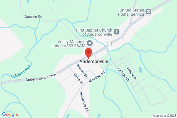 Andersonville Bus Lines Inc