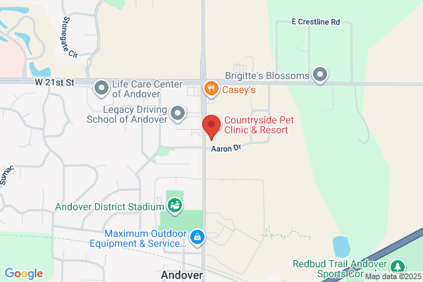 Andrews Connie DDS