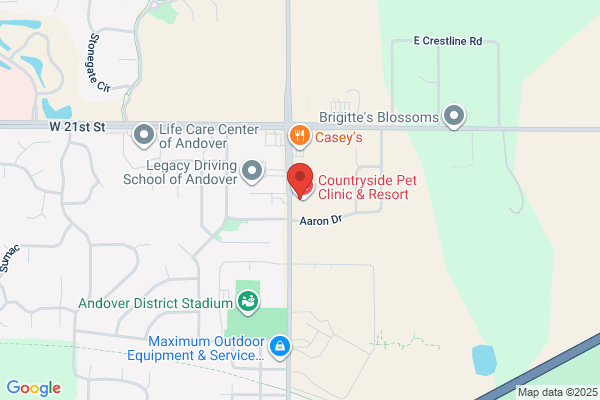 Countryside Pet Clinic & Resort