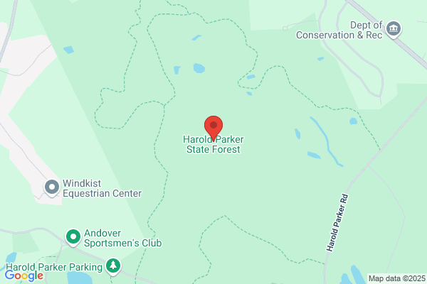Massachusetts Commonwealth of, Environmental Management Department, Harold Parker State Forest, Campground