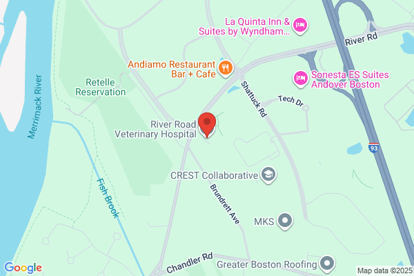 River Road Veterinary Hospital