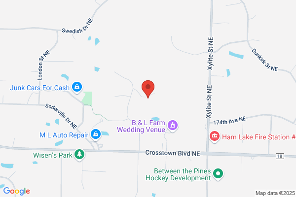 Medalist Homes Inc
