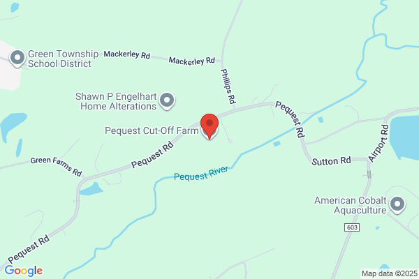 Pequest Valley Kennels
