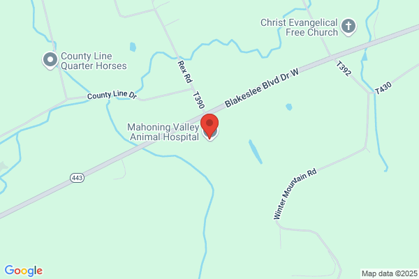 Mahoning Valley Animal Hospital
