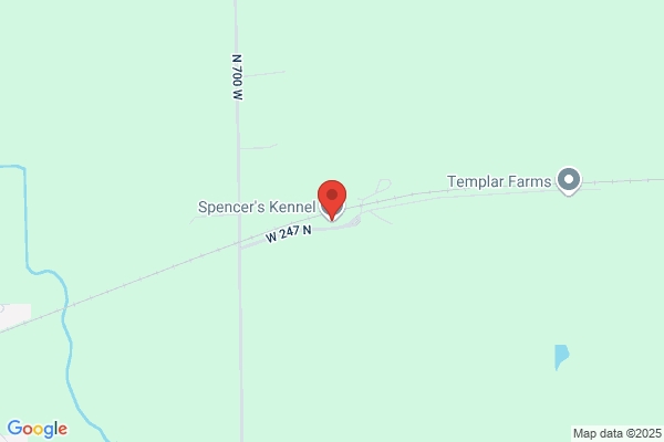 Spencer's Kennel