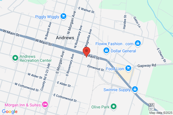 Advance Auto Parts