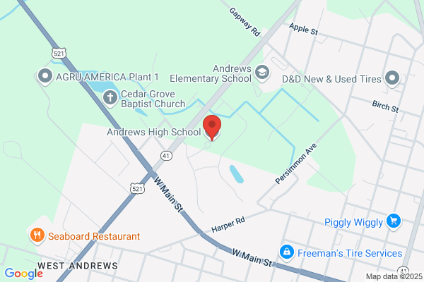 Schools, Andrews High School