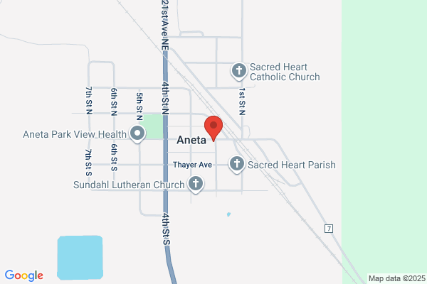 Aneta Meat Service