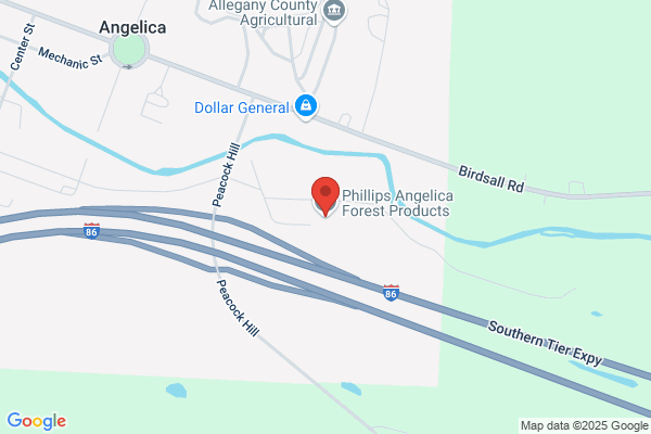 Angelica Forest Prods Inc