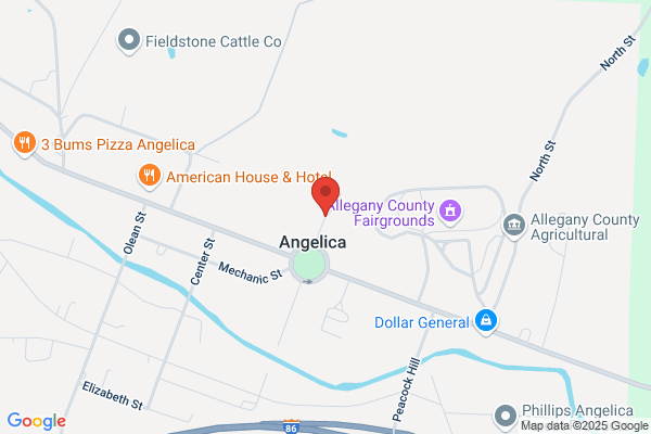 Angelica Village of