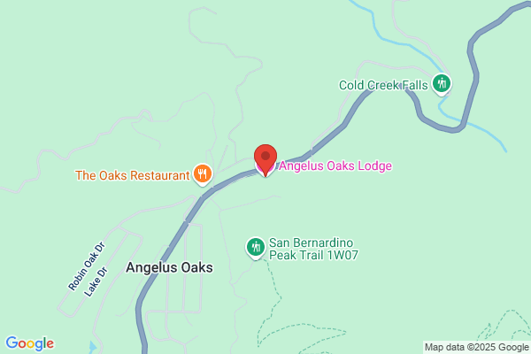 Lodge At Angelus Oaks the