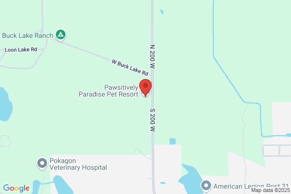 Pawsitively Paradise Pet Resort