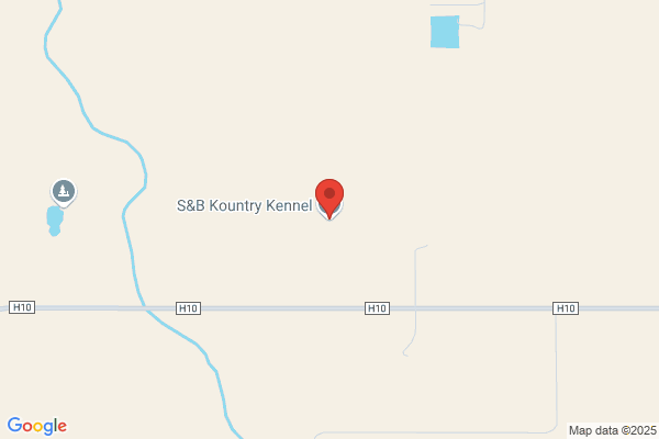 S & B Kennels