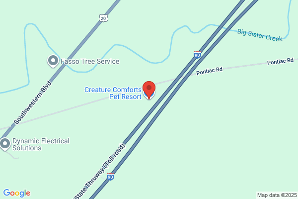 Creature Comforts Pet Resort