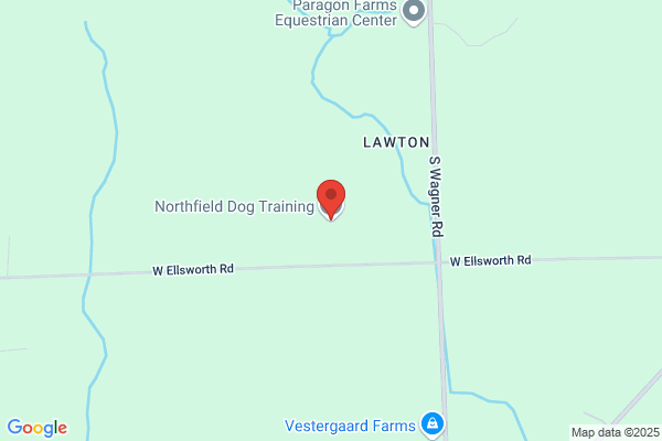 Northfield Dog Training