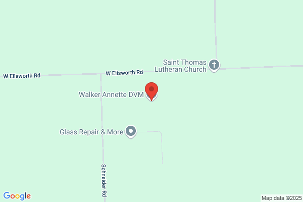 Walker Annette DVM