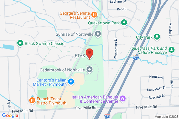 Etas Inc