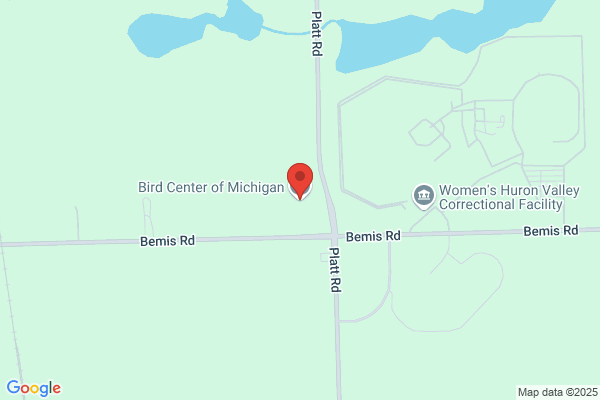 Bird Center of Washtenaw County the