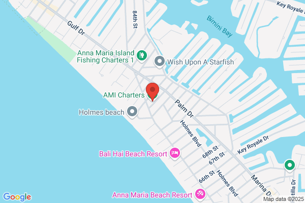 AMI Charters