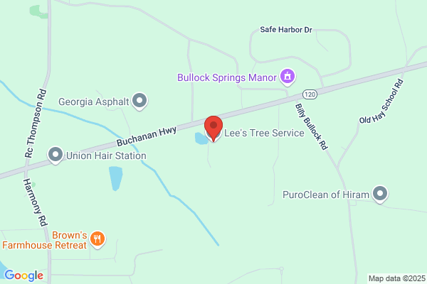 Lees Tree Service