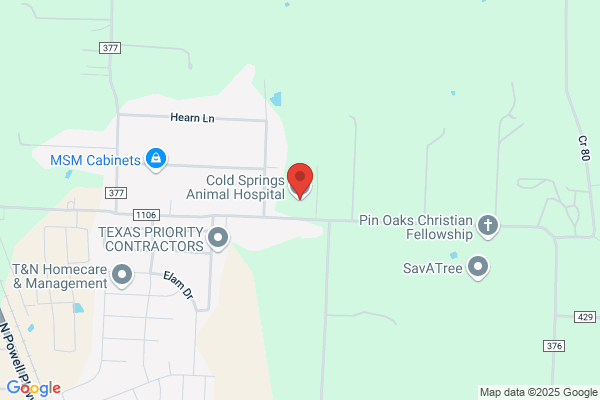 Cold Springs Animal Hopsital