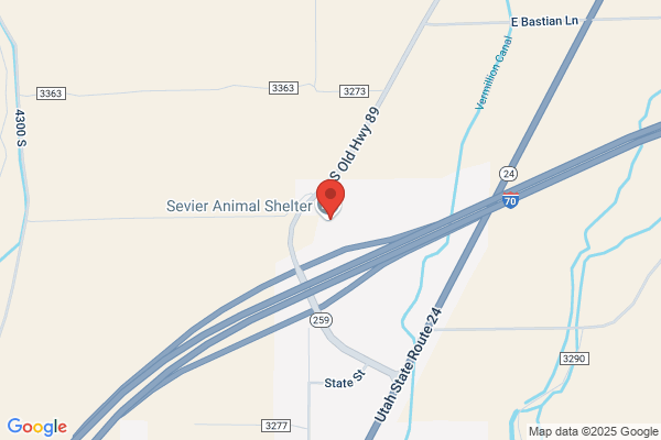 Sevier County Animal Shelter