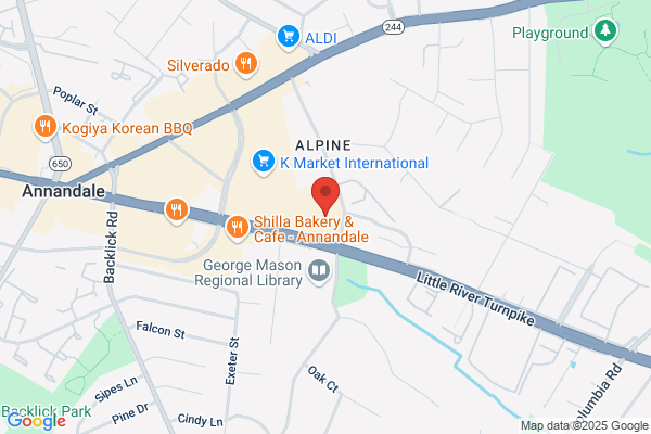 Annandale Spine Physicians Inc