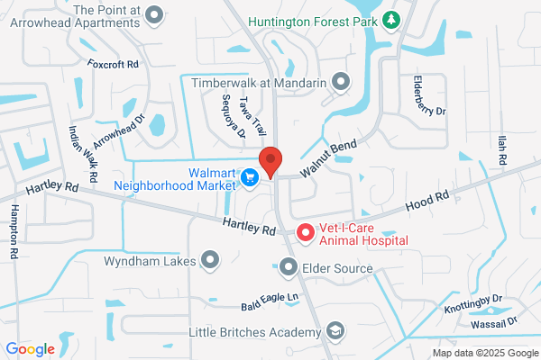 American Mortgage & Title