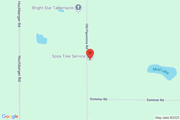 Sosa Tree Services