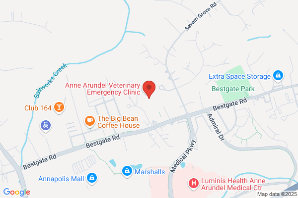 Eye Care for Animals - Annapolis Best Gate