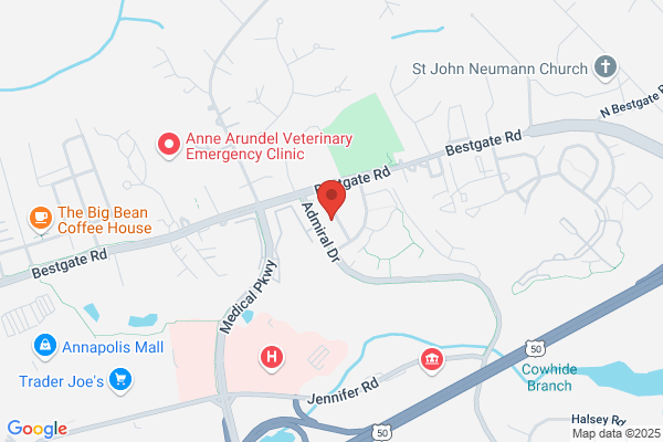 Window Cleaning Near Me