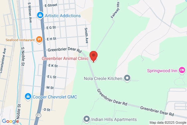 Greenbrier Animal Clinic