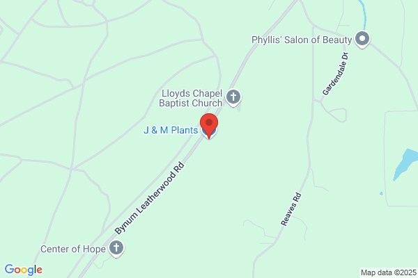 J & M Plants