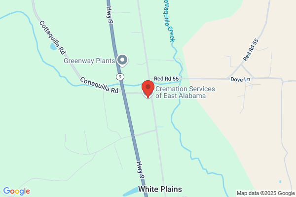 Cremation services of east alabama