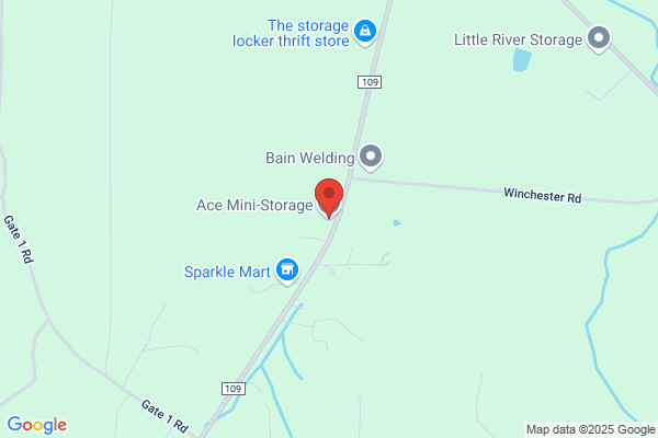 Ace Mini Storage
